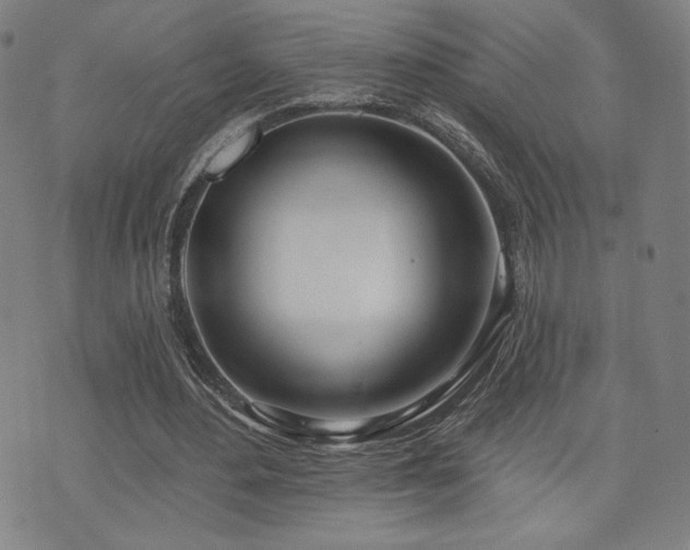 X0000072490484200607141108