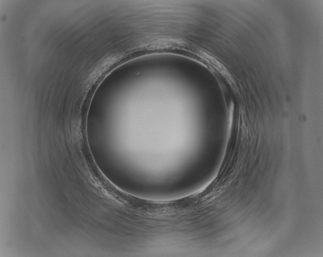X0000072490485200607141108