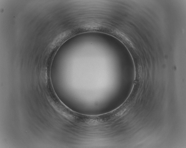 X0000072490494200607141108