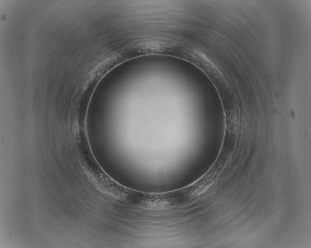 X0000072490500200607141108