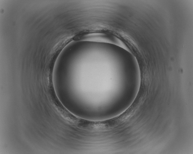 X0000072490501200607141108