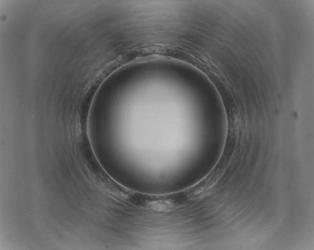 X0000072490508200607141108