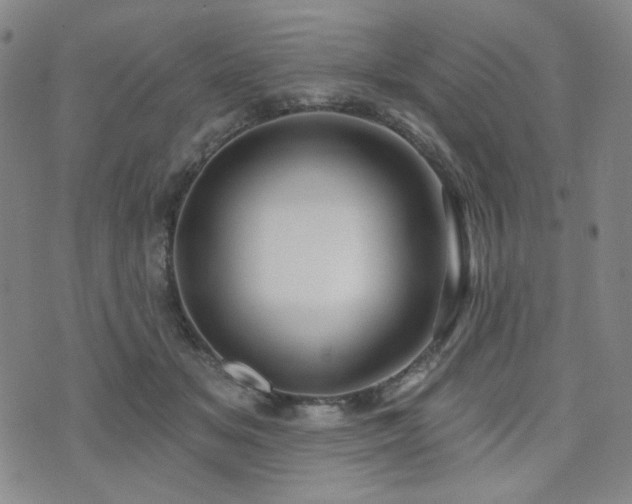 X0000072490509200607141108