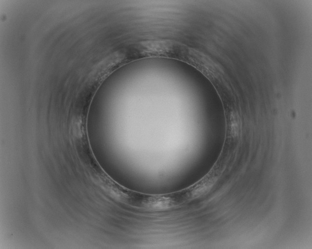 X0000072490514200607141108