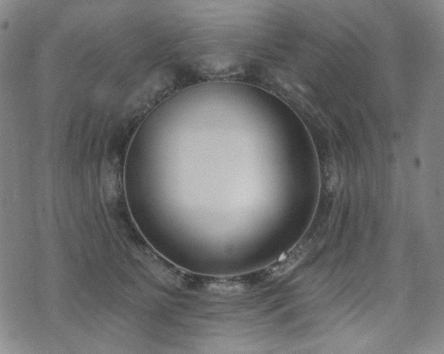 X0000072490515200607141108