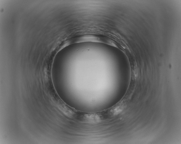X0000072490520200607141108