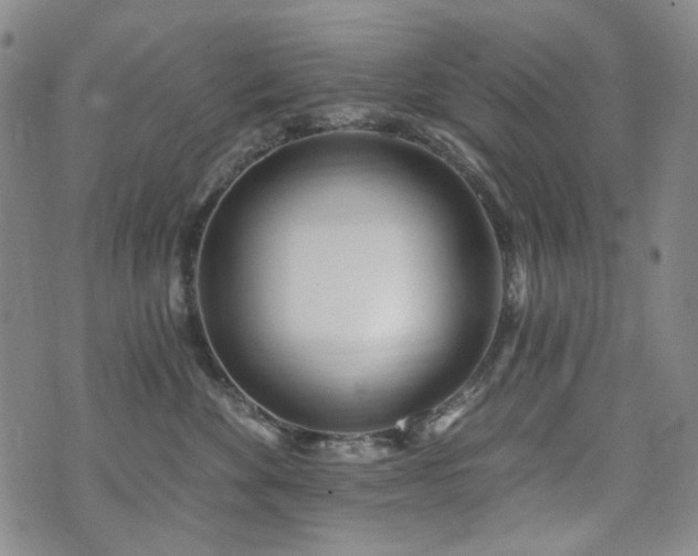 X0000072490524200607141108