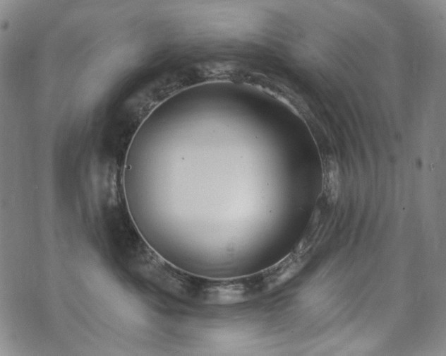 X0000072490525200607141108