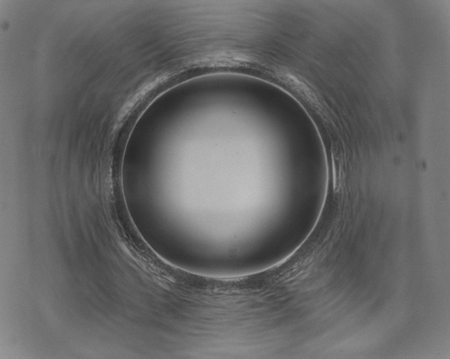 X0000072490531200607141107