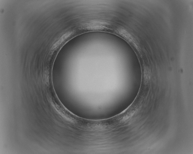 X0000072490533200607141107