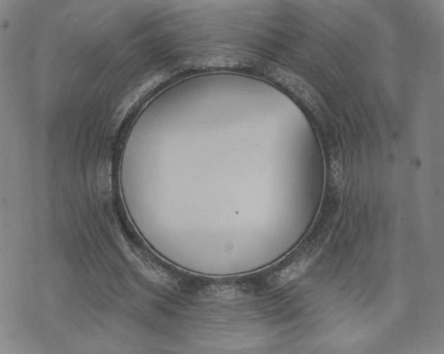 X0000072490534200607141107