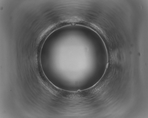 X0000072490535200607141107