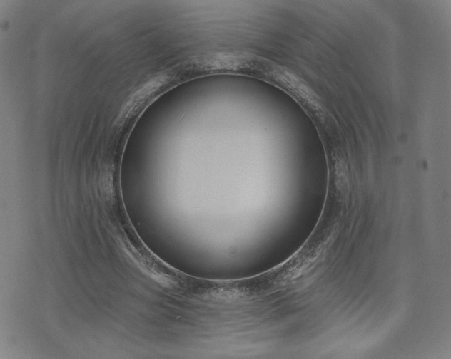 X0000072490537200607141107