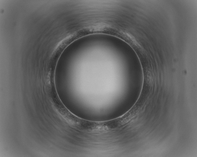 X0000072490543200607141107