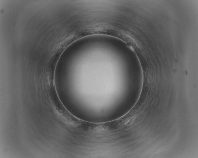 X0000072490546200607141107