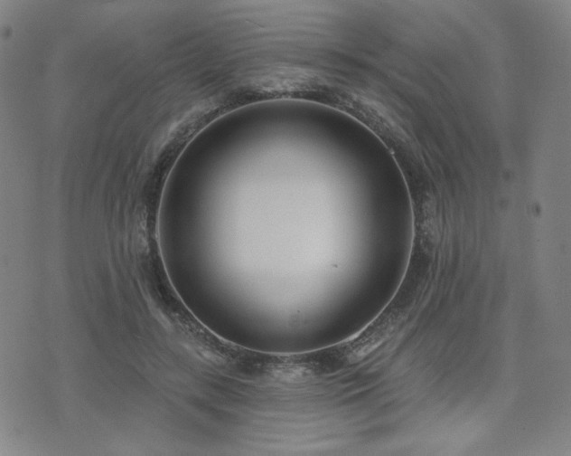X0000072490547200607141107