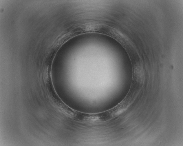 X0000072490554200607141107