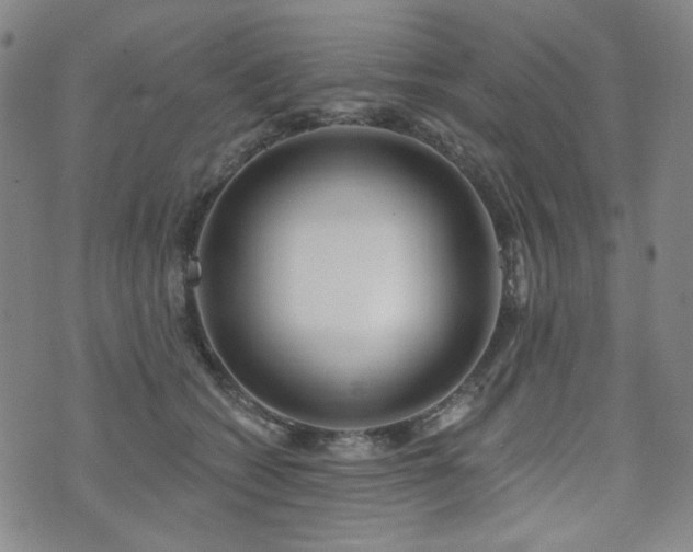 X0000072490562200607141107