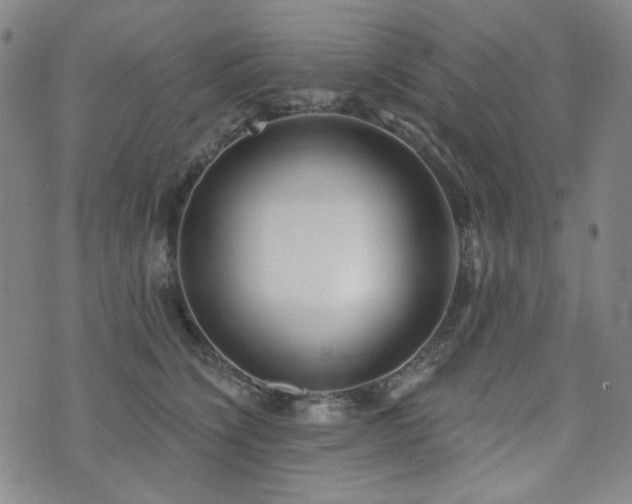 X0000072490564200607141107