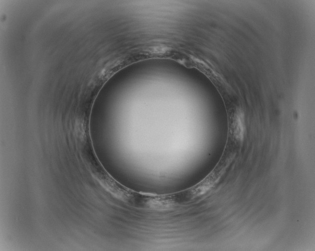 X0000072490568200607141107