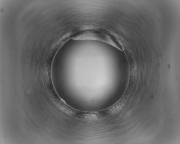 X0000072490572200607141107