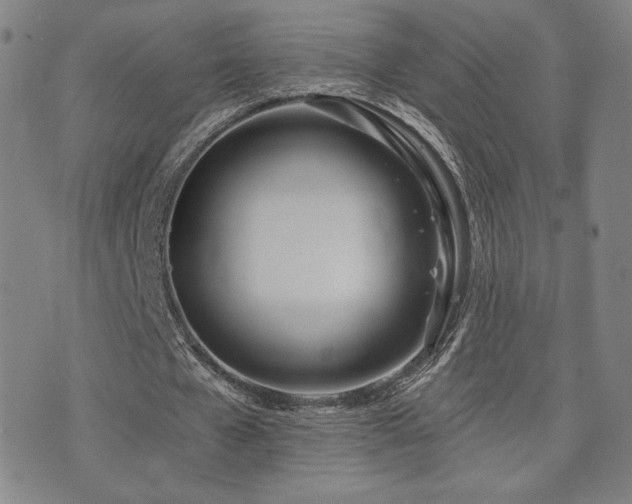 X0000072490577200607141107