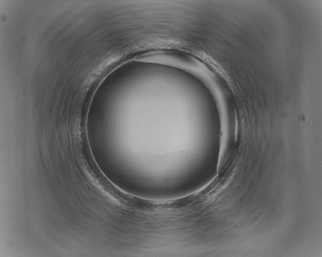 X0000072490581200607141107