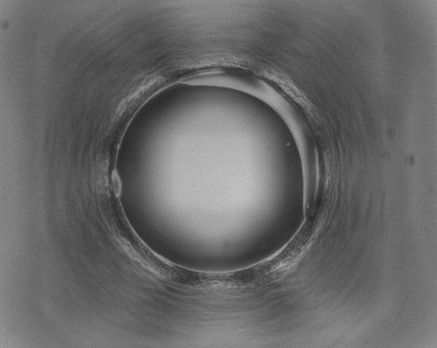 X0000072490585200607141107