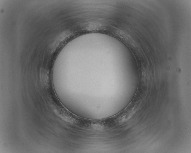 X0000072490592200607141106