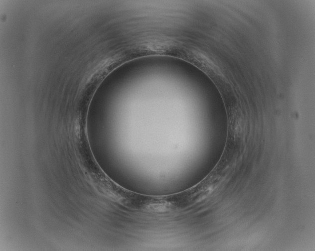 X0000072490595200607141106