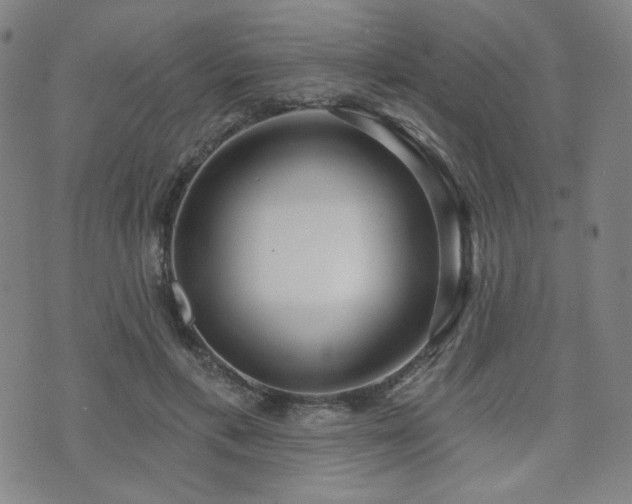 X0000072490597200607141106