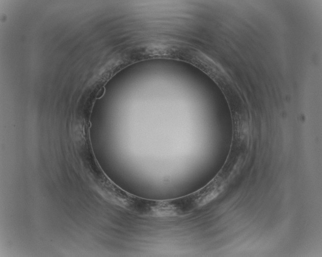 X0000072490603200607141106
