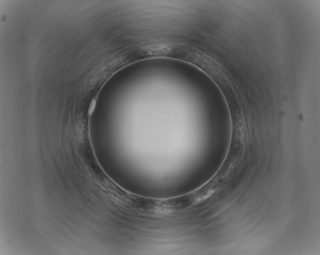X0000072490604200607141106