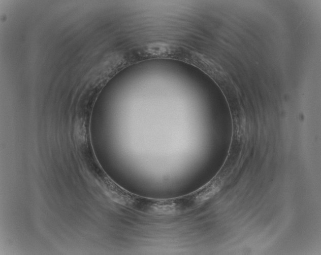 X0000072490606200607141106