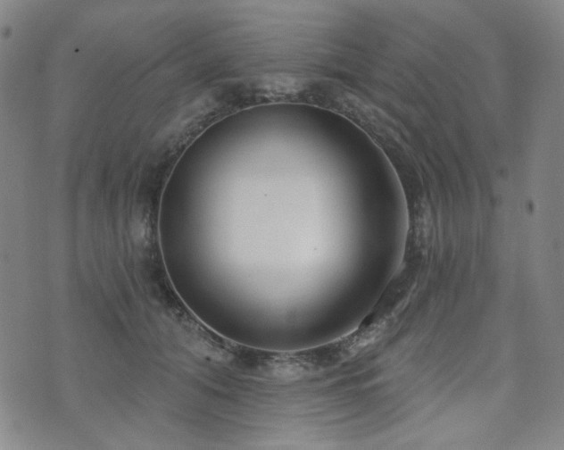 X0000072490608200607141106