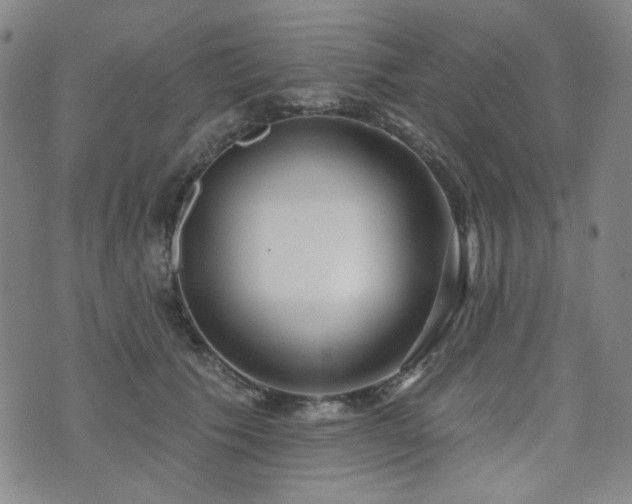 X0000072490609200607141106