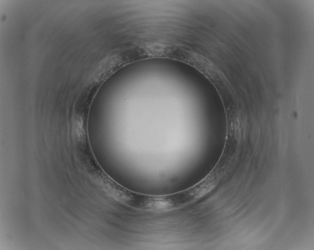 X0000072490610200607141106