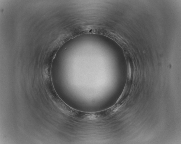 X0000072490611200607141106