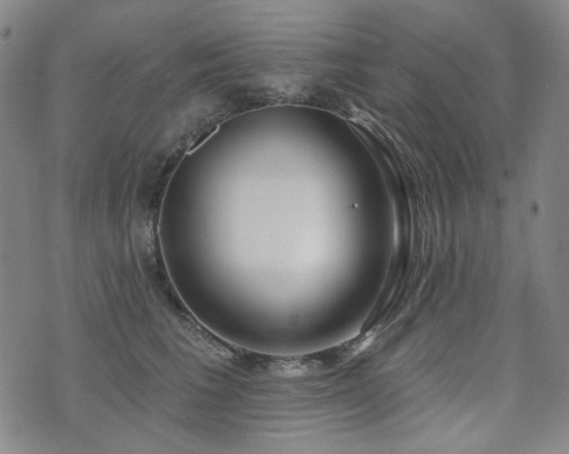 X0000072490613200607141106