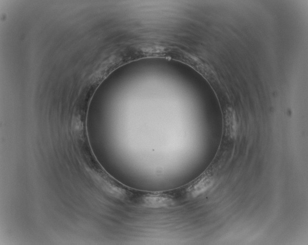 X0000072490614200607141106