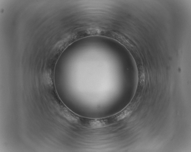 X0000072490616200607141106