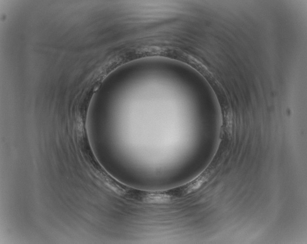X0000072490617200607141106
