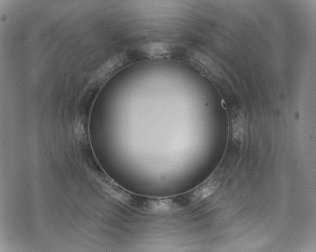 X0000072490618200607141106