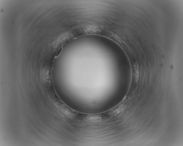 X0000072490619200607141106