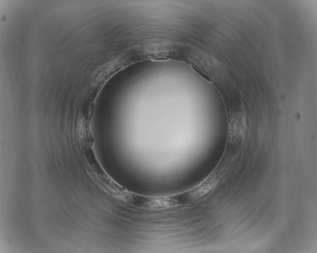 X0000072490623200607141106
