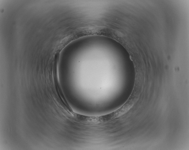 X0000072490624200607141106