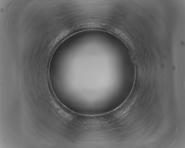 X0000072490625200607141105