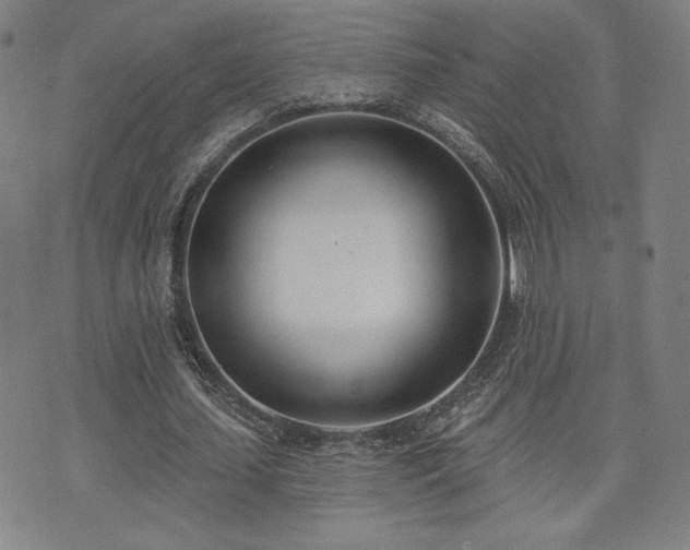 X0000072490627200607141105