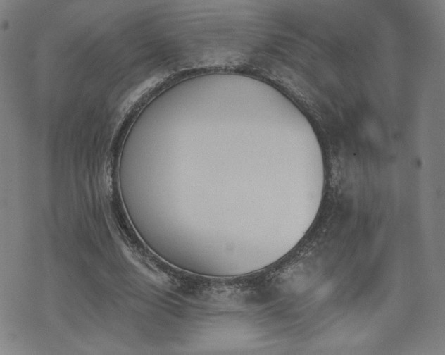 X0000072490632200607141105