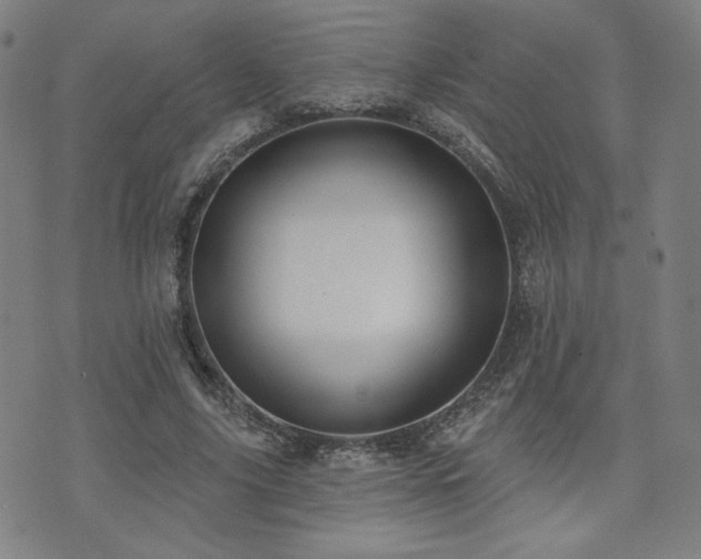X0000072490635200607141105